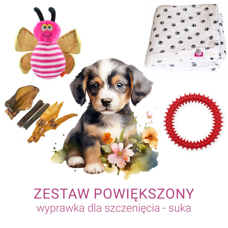 Powiększony zestaw wyprawkowy dla szczeniąt - suka