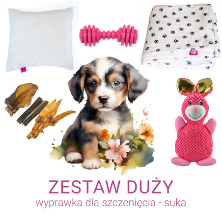 Duży zestaw wyprawkowy dla szczeniąt - suka