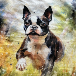 Gruba mata pluszowa z grafiką - boston terrier