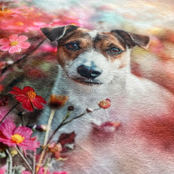 Gruba mata pluszowa z grafiką - Jack Russell Terrier