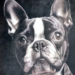 Gruba mata pluszowa z grafiką - boston terrier