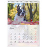 Boston Terrier - Kalendarz na 2026 rok Nana