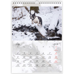 Boston Terrier - Kalendarz na 2026 rok Nana