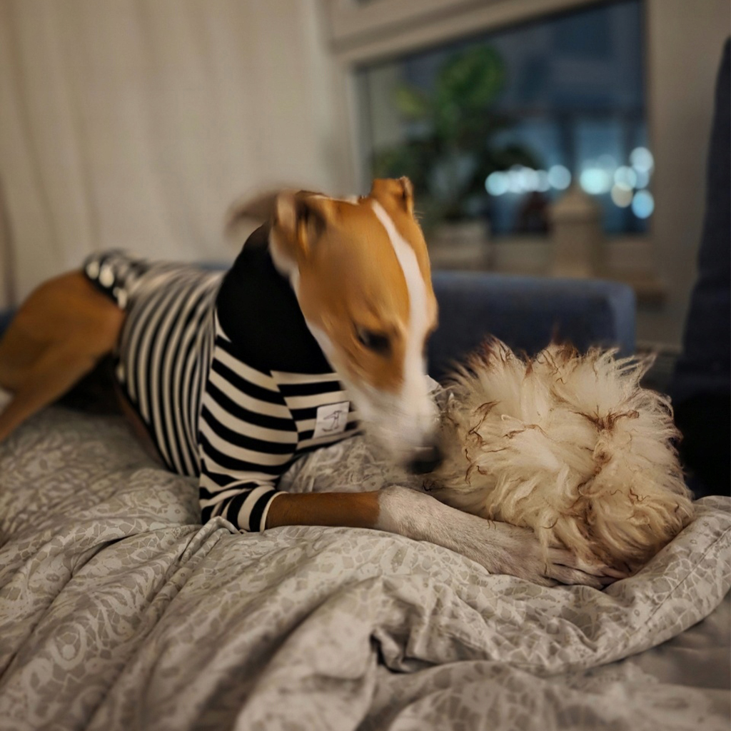 Piłka ze skóry owczej